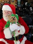 Santa with dog at&nbsp;HD