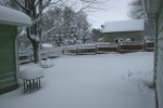 Snow, #5 backyard