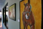 Farm animal portrait, #12 horse & hallway J. Fakler
