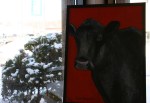Farm animal portrait, #2 black cow J.&nbsp;Fakler