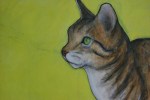 Farm animal portraits, #17 cat J.&nbsp;Fakler