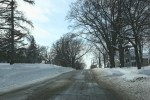 Snowy Faribault, #103 residential&nbsp;street