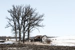 Country drive, #3 old shed by trees