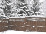 Snow falling by fence&nbsp;edited