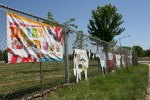 Cowtastic, sign make this & cows curving along&nbsp;fence