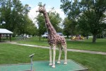 Park, #62 giraffe at mini golf&nbsp;course