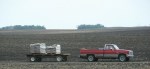 Rural Minnesota, #127 pick-up in field near Delhi