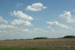 Rural Minnesota, #139 land & sky