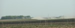 Rural Minnesota, #96 dust from gravel road near Morgan