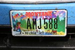 License plate, #147 no child left inside,&nbsp;Nisswa