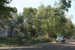 Damage along Fourth Ave SW, #17 tree &&nbsp;house