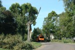Damage along Fourth Ave SW, #6 tree&nbsp;truck