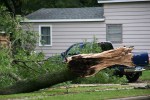 Faribault storm, #2 broken tree by blue pick-up