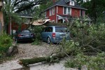 Faribault storm, #23 trees on&nbsp;vehicles