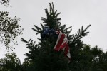 Faribault storm, #42 flag in neighbor’s tree