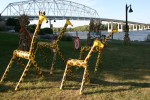 SeptOberfest, #339 giraffes & bridge in&nbsp;background