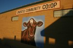 Decorah, #76 cow painting on&nbsp;co-op