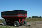 Harvest, #49 praked red grain wagon