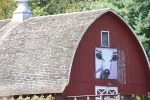 Seed Savers, #216 cow painting on&nbsp;barn