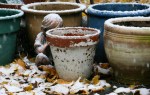 Snow, #161 snow on&nbsp;flowerpots