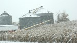 Snow, #231 grain bins –&nbsp;Copy