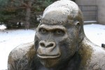 Como, #72 gorilla&nbsp;statue