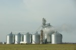 Rural Red River Valley, #275 row of grain&nbsp;bins