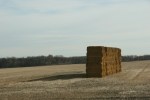 Rural Red River Valley, #288 stack of&nbsp;bales