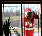 Santa, #1 peering in window