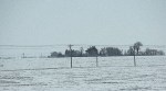 Winter landscape, #8 rural MN&nbsp;fields