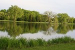Spring in Faribault, #14 Cannon River looking toward S. Alexander Park