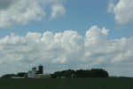 Corn, silos #41
