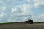 Corn, tractor & digger along hwy 19 #47