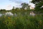 Faribault Energy Park, #17 pond & plant in&nbsp;background