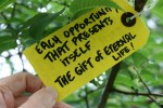 Gratitude tree, #18 Each opportunity that&nbsp;presents…