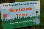 Gratitude tree, #35 Spread Sunshine&nbsp;sign