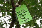 Gratitude tree, #37 strong&nbsp;women