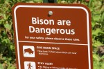 Bison, #157 dangerous sign