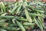 Sweet corn stand, pile of sweet corn&nbsp;#9