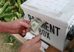 Sweet corn stand, putting money in box&nbsp;#11