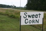 Sweet corn stand, sign&nbsp;#3