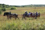 Country social, #87 horse-drawn wagon&nbsp;ride