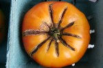 Farmer’s market, #28 heirloom&nbsp;tomato