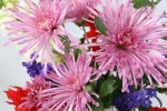 Farmer’s market, #4 spider mums&nbsp;bouquet