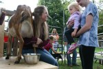 Farmer’s market, #61 meet the&nbsp;goat