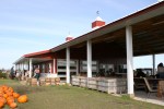 Apple orchard, #56 back of retail store with pumpkins outside