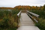 Dunton Locks County Park, #258&nbsp;dock