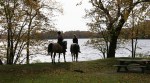 Maplewood State Park, #167 horses by&nbsp;water