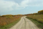Maplewood State Park, #192 gravel&nbsp;road