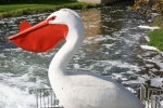 Pelican Rapids, #123 Pete the Pelican&nbsp;close-up